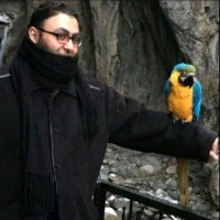 Dr.Ramy Adnan