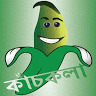 কাঁচ- কলা