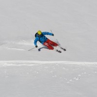 Meyer Pesche