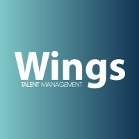 Consultor Iv Wings