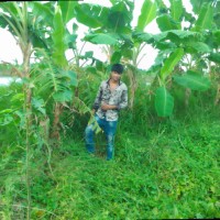 Raihan Raj