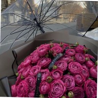 سارة السبيعي