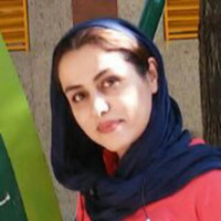 Arezoo Barhami