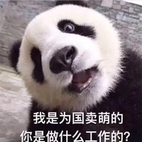 Gavin cheng