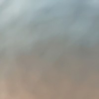 G G