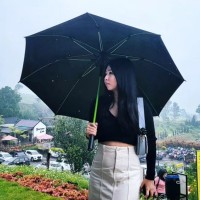 Erna H