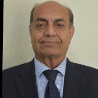 Abdul Hadi Shah
