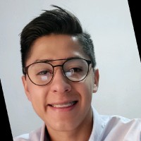Nestor Camarillo Cedillo