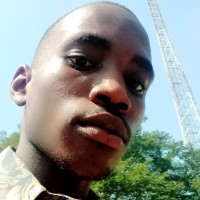 Paul Paul_Stylus