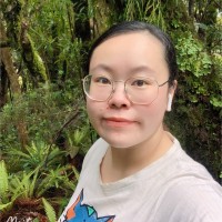 Hailey (Haiqi) Yang