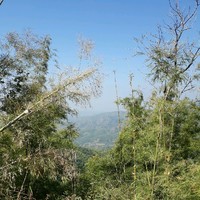 Ko Ye