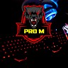 Pro M