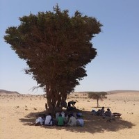 SIDI MOHAMMED SID EZZIN