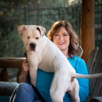 Laurie Yost
