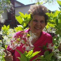 Sue Grubba