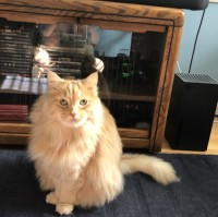 Marley Fluffy