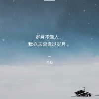 王鹏强