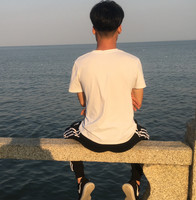 赵世奇