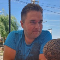 Aurelian George Beca