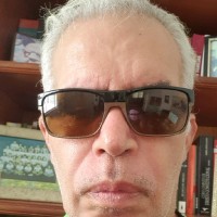 Luiz Carlos Mendonça Lima