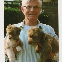 joop polfliet