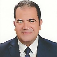 Mohamed Salah E-Din M Lotfy