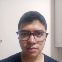 Guilherme De Moraes Vais