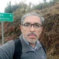 Marcelo Irarrazabal