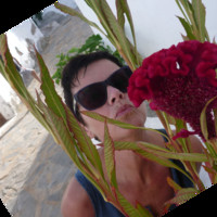 DOMINIQUE VANDERHAEGHE