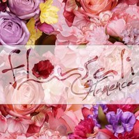 Florsali Complementos de Flamenca