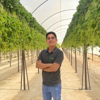 Raul Olvera