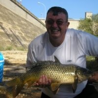 Steve Graham
