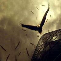 Devendra S