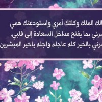 محمد القط