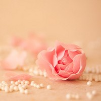 Roselin Mary Santhosh
