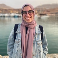 Nour Fayed