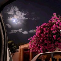 Shahed Rawashdeh