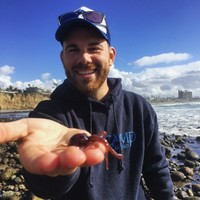 Matt D.