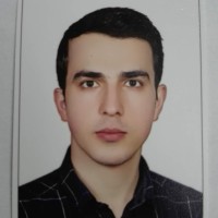hassan hamidi