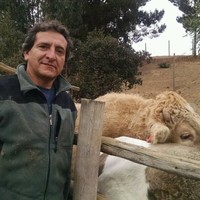 Felipe Ulriksen Contreras