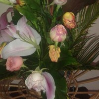 sarzamin parsi سرزمین پارسی