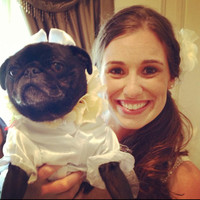 Bethany Eytchison-Fung Rn, Msn, Ccrn
