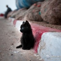 Guchun Cui