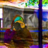 Pier Moreno Silvestri