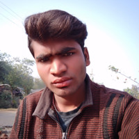 Vijay Palewar Vijay
