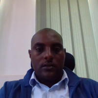 Meseret Shiferaw