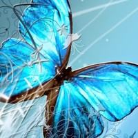 Psic Ericka Sánchez Riquelme