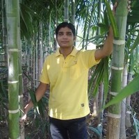 Ramnarayan Sinha