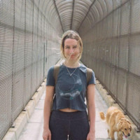 Kaitlin Bergin