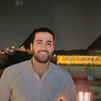 Mohamed Hamzawy